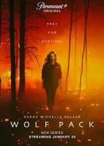 Watch Wolf Pack M4ufree