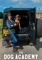 Watch Bad Dog Academy M4ufree