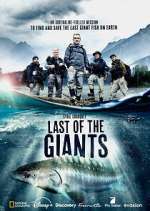 Watch Last of the Giants: Wild Fish M4ufree