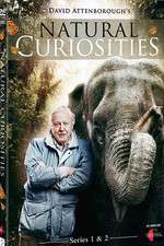 Watch Natural Curiosities M4ufree