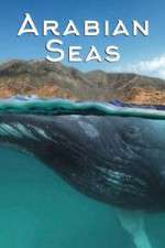 Watch Arabian Seas M4ufree
