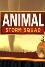 Watch Animal Storm Squad M4ufree