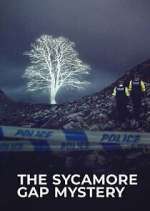 Watch The Sycamore Gap Tree Mystery M4ufree