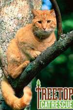 Watch Treetop Cat Rescue M4ufree