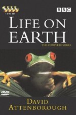 Watch Life on Earth M4ufree