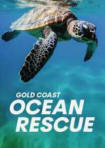 Watch Gold Coast Ocean Rescue M4ufree