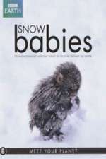 Watch Snow Babies M4ufree