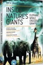 Watch Inside Nature's Giants M4ufree