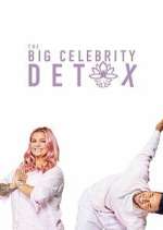 Watch The Big Celebrity Detox M4ufree
