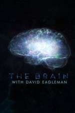 Watch The Brain with Dr David Eagleman M4ufree