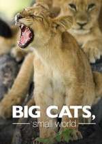 Watch Big Cats, Small World M4ufree