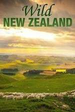 Watch Wild New Zealand M4ufree